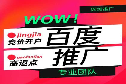 SEM推广代运营案例：实战攻略
